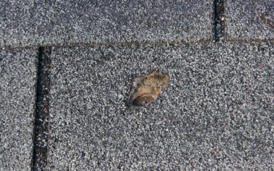 What to Do When Your Roof Leaks: Emergency Tips for Myrtle Beach Homeowners