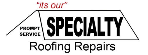 Specialty Roofing Repairs